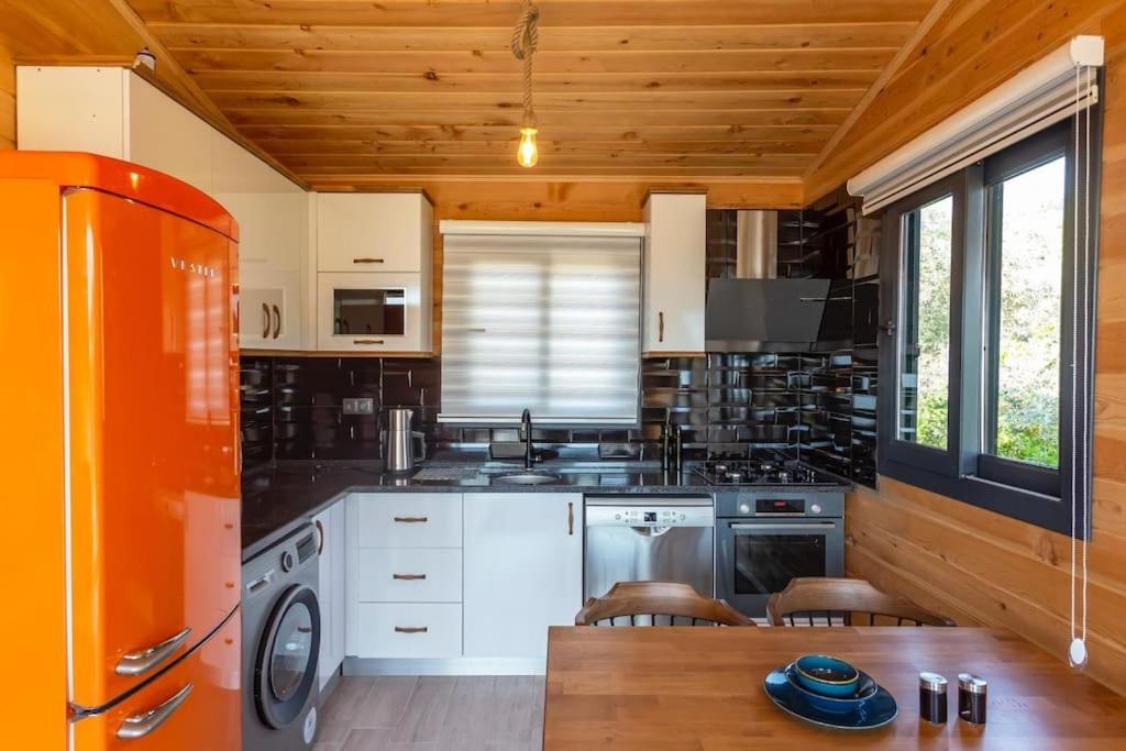 פאטהיה Villa Zeytin Havuzlu Jakuzili מראה חיצוני תמונה